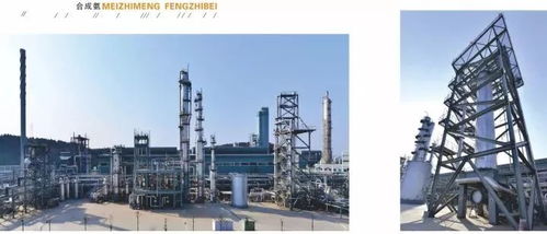 四川美豐一項(xiàng)關(guān)鍵化工工藝通過科技成果鑒定，引領(lǐng)行業(yè)綠色高效發(fā)展